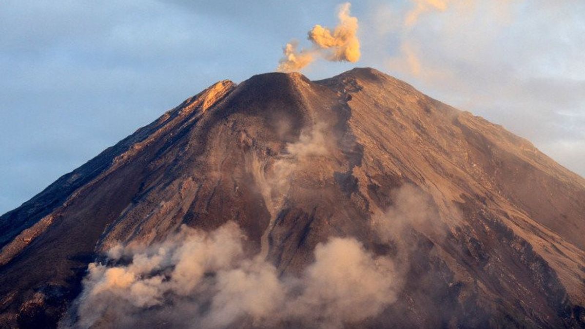 Refugees Of The Eruption Of Mount Semeru Become 781 Souls, Spread 21 Points In Lumajang