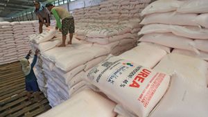 Blokade Selat Hormuz Ganggu Pupuk Dunia, Ancaman Pangan Makin Nyata