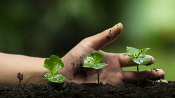 Actualisation de la biologie moderne! Voici les types de développements végétatifs que vous devez savoir
