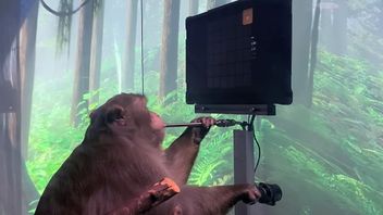 伊隆 · 马斯克的神经链接使猴子 = 所以可以像人类一样玩游戏