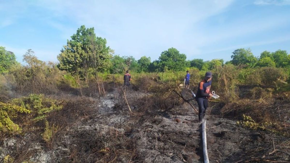 BMKG Deteksi 2 Titik Panas di Kecamatan Trumon Timur, Aceh Selatan