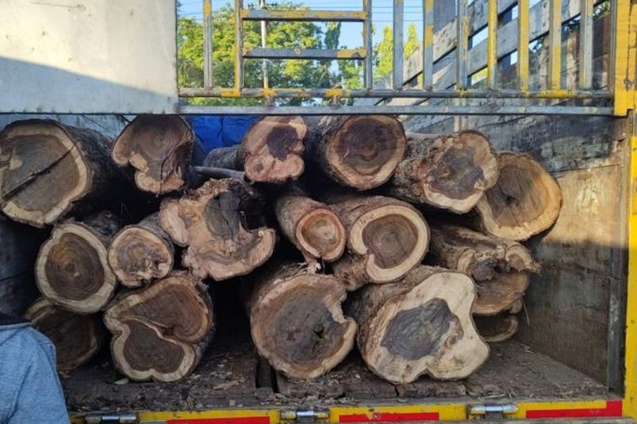 بيرهوتاني كيديري يبلغ عن سرقة أخشاب وأدلة على ضبط 37 سجلا من سجلات سونو