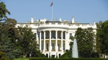 White House Collaborates With Facebook To Google To Handle COVID-19 Vaccine Hoax