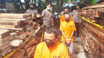 Police Become Suspects Of Possession Of 245 Illegal Logs, Subject To Discipline And Criminal Violations