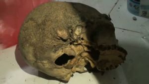Polisi Belum Temukan Unsur Pidana Dalam Kasus Temuan Tengkorak Kepala Manusia di Duren Sawit