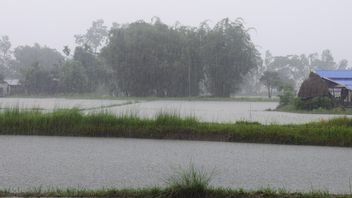 BMKG Predicts Potential For Heavy Rain Accompanied By Strong Winds In Several Regions Of Indonesia