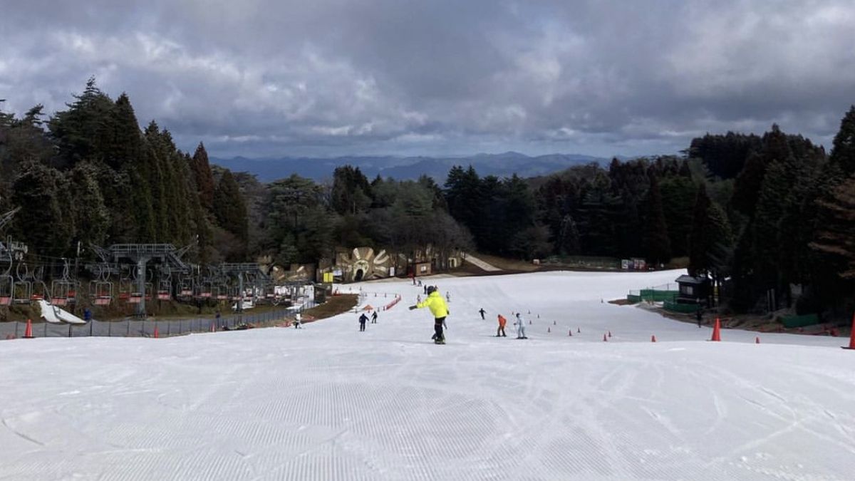 L'hiver est trop tard, les stations de ski au Japon riches en neige artificielle