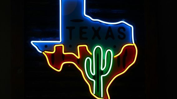 テキサス州シナゴーグでユダヤ人を襲撃する計画で2人の米国の若者が逮捕される