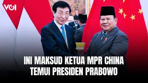 Ketua MPR China Bertemu Presiden Prabowo, Wamenlu Bocorkan Pembicaraannya