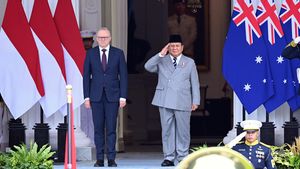 Presiden Prabowo Terima Kunjungan Kerja PM Albanese di Istana Merdeka