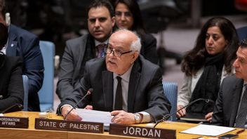 中国对美国否决以色列-巴勒斯坦问题联合国DK决议感到失望