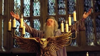 哈里·波特(Harry Potter)球员向迈克尔·甘邦(Michael Gambon)表示哀悼“邓布莱多尔”