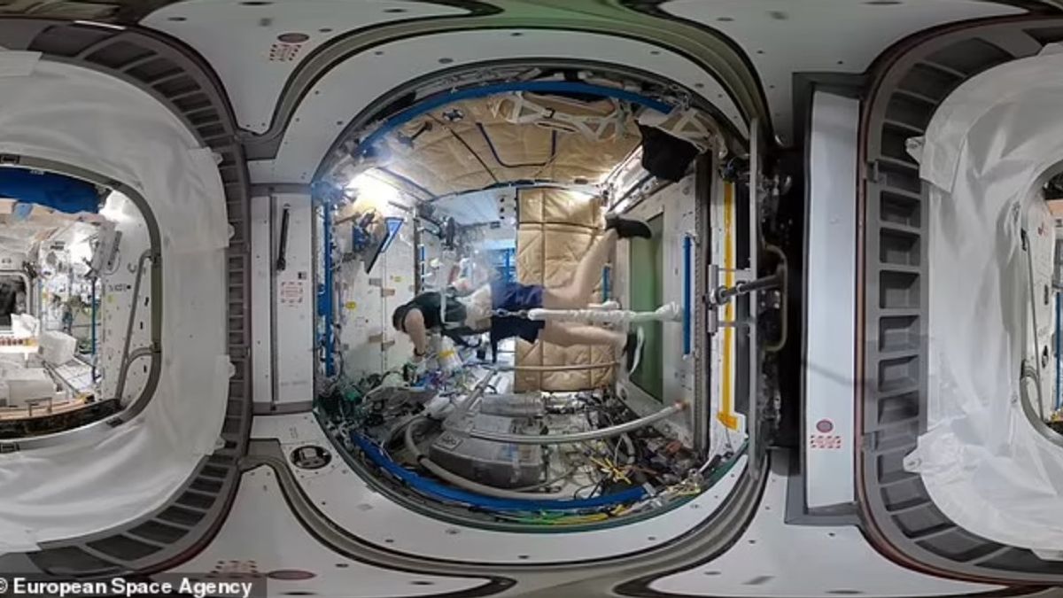 宇宙ステーションのトレッドミルでの宇宙飛行士演習を参照してください。