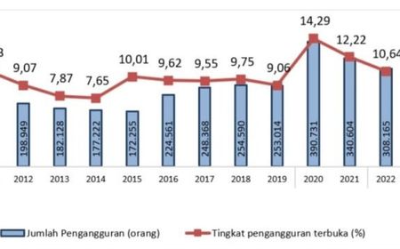 Sempat Melonjak Masa Pandemi 2020, Pada 2022 Jumlah Pengangguran di Bogor Turun