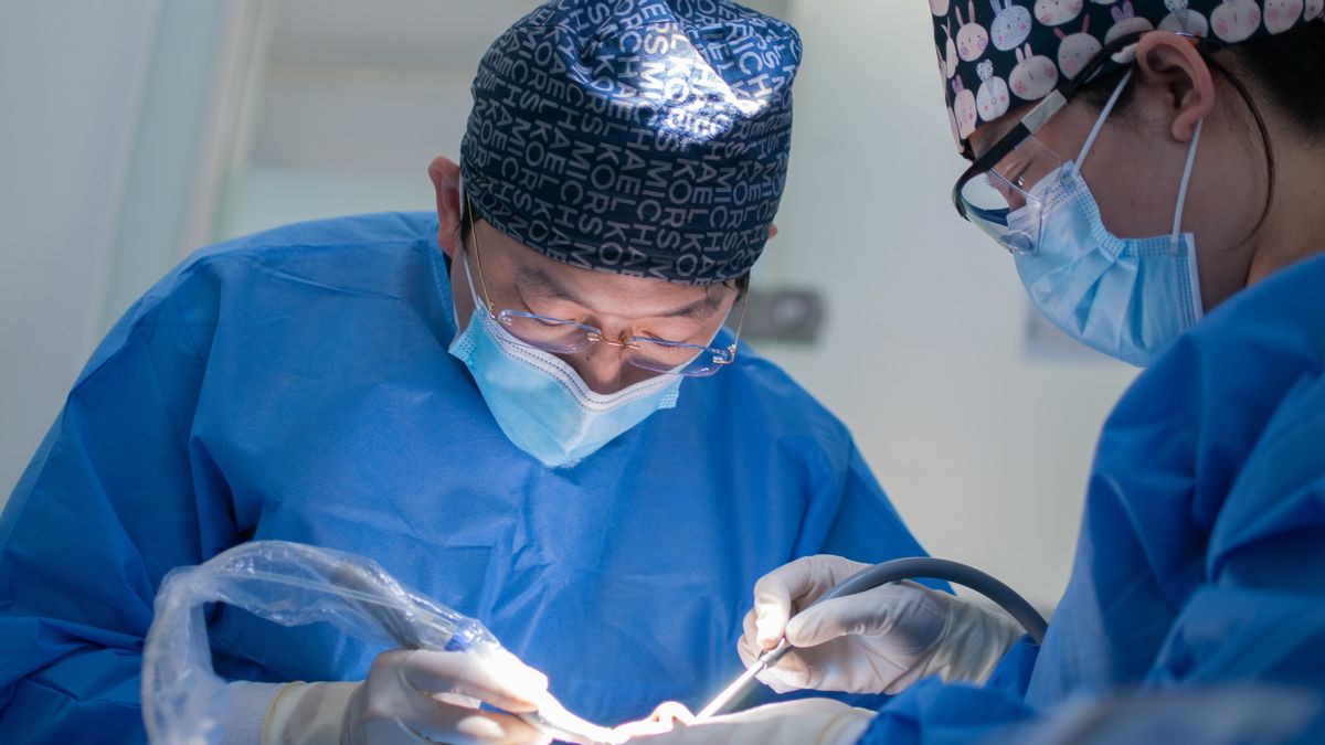 COVID-19 大流行，韩国整形外科业务增长迅速