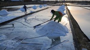 Anggota DPRD dan Himpunan Petambak Jatim Desak Khofifah Tolak Impor Garam