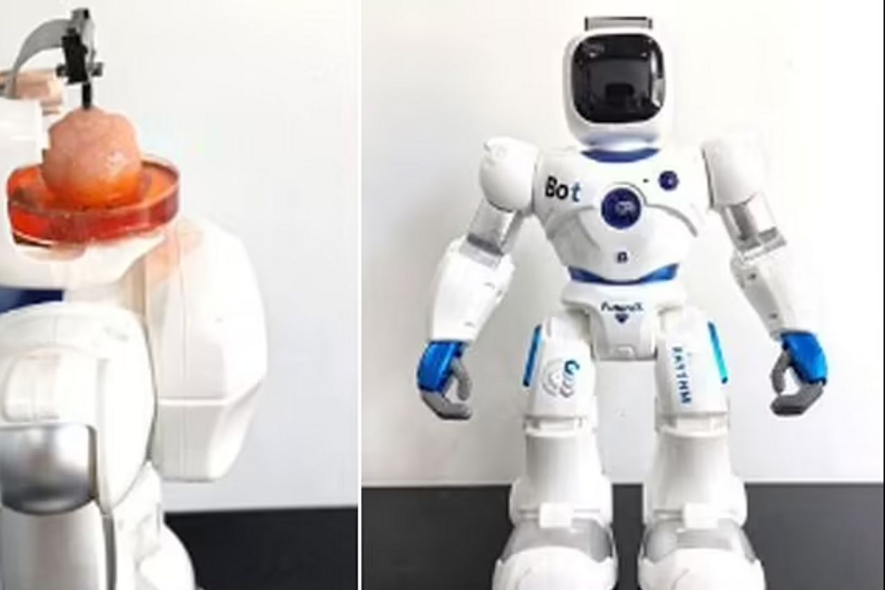 Des scientifiques chinois créent un robot frankozy avec un cerveau humain