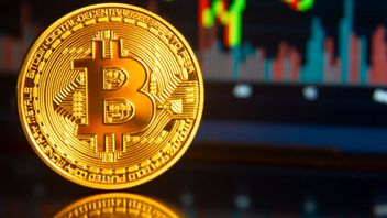 Bitcoin To The Moon! Ethereum dan Altcoin Ikut Terbang