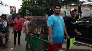 [FOTO] Evakuasi Hewan Peliharaan di Ciledug Indah I