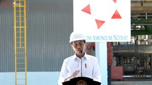 Inaugurating The Nitrat Amonium Factory In East Kalimantan, Jokowi: Can Reduce Imports By 8 Percent