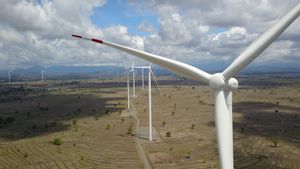 Terobosan Inovatif PLTB Tolo: Efisiensi dan Keberlanjutan dalam Energi Terbarukan