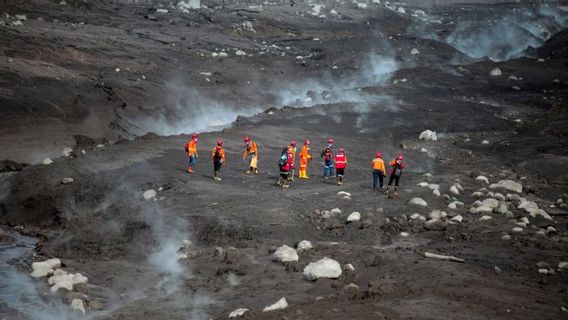 Anjing Pelacak Diterjunkan Bantu Cari Korban Erupsi Semeru