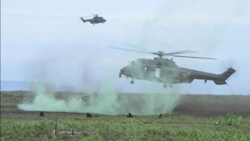 Helikopter Militer Iran Jatuh di Pasar Buah, 4 Tewas Termasuk 2 Pedagang 