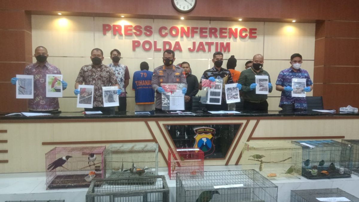 شرطة جاوة الشرقية الإقليمية تفكك ممارسة شراء وبيع مئات الحيوانات المحمية