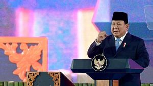 Waka DPR Harap Proyek yang Didanai Danantara Bisa Tingkatkan Penyerapan Tenaga Kerja