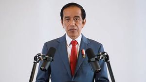 Jokowi: Tol IKN Rampung Akhir Tahun, Balikpapan-Nusantara Cuma 50 Menit