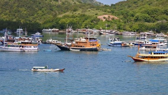 Can Tternish Labuan Bajo Tourism, West Manggarai Regency Le Gouvernement Exhorté à Ordonner Aux Agents De Voyages