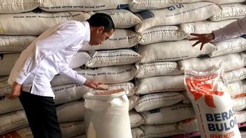 Hot Mr. Jokowi! Menipis Rice Stock, BPS Sends An Import Rail Open Signal