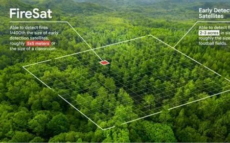 Google Research Akan Ciptakan Satelit Pendeteksi Kebakaran Hutan