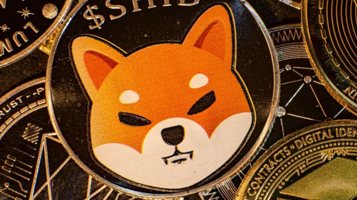 Shiba Inu Immediately Launches Shib The Metaverse, Here's The Leaked Information!