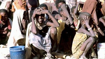 联合国儿童基金会呼吁索马里50多万幼儿严重营养不良