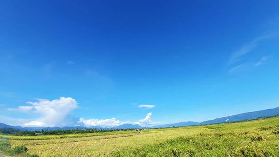 Prakiraan Cuaca Sulawesi Barat 2 Maret 2021: Sebagian Besar Kota Cerah Berawan Kecuali Kota Ini 