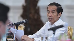 Jokowi Bawa Kabar Gembira: Smelter Freeport di Gresik Bakal Serap 40 Ribu Tenaga Kerja