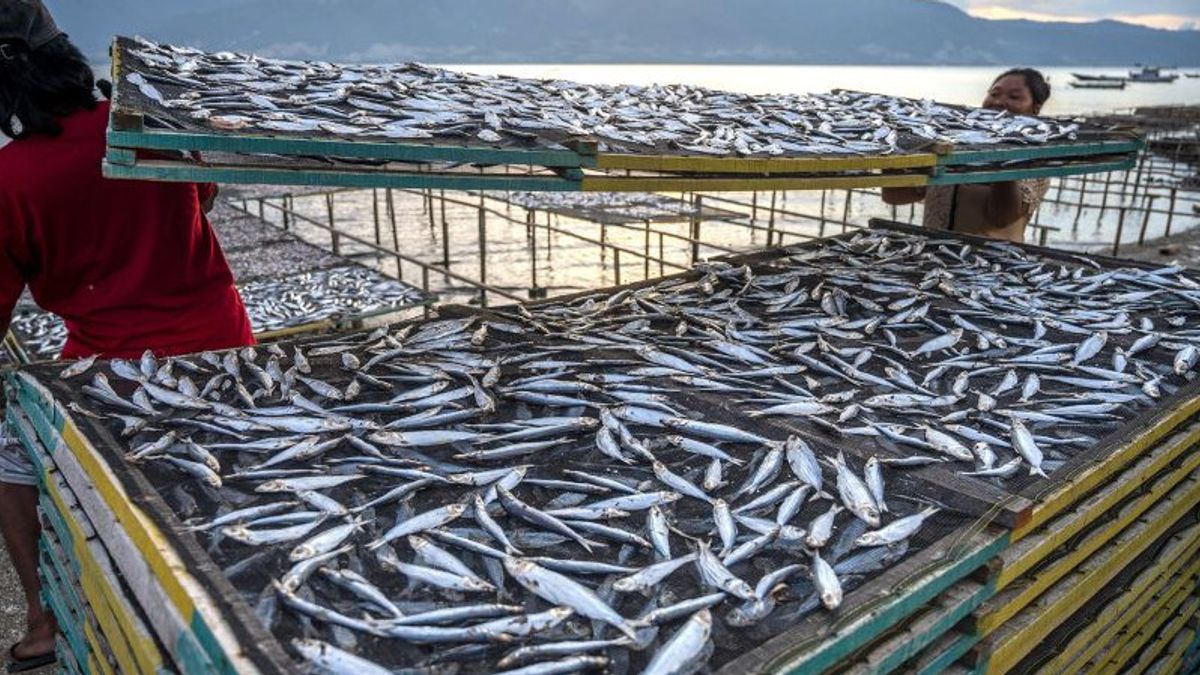 まだ伝統的なインドネシアの漁業は、下流への投資が必要です