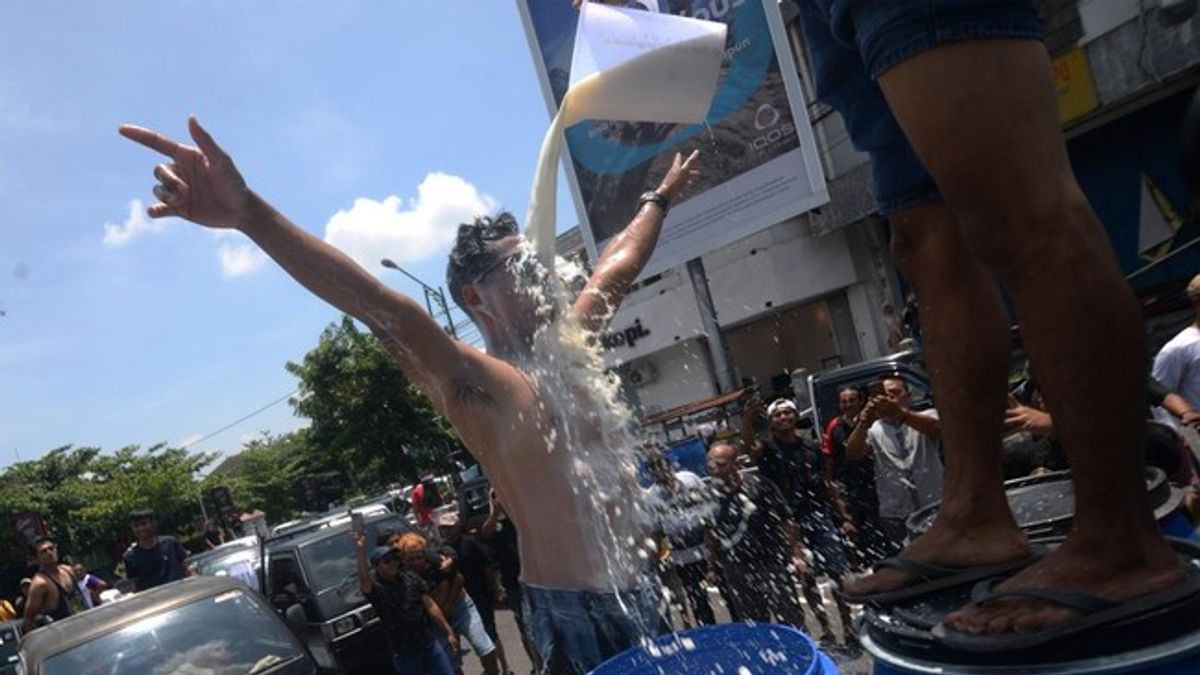 Peternak Mandi Susu Sapi sebagai Bentuk Protes, Akibat Banjir Impor atau Kualitas Lokal yang Buruk?