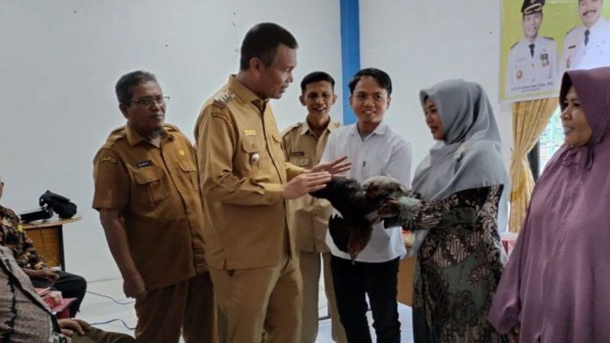 West Sumatra Pariaman Received Thousands Of Chickens From The Central Government