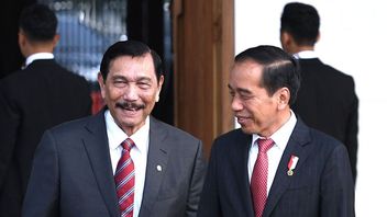 Dare To Continue Downstreaming, Jokowi Is Likened By Angkot And Luhut Drivers As His Kernet