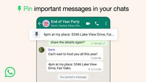 WhatsApp Perkenalkan Fitur Baru untuk Sematkan Pesan
