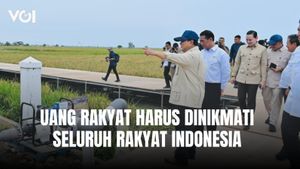 Alasan Presiden Prabowo Tak Mau Lihat Daftar Perusahaan Pelanggar Aturan