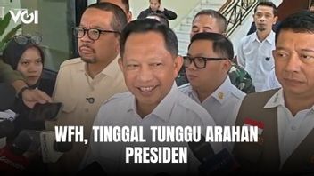 WFHの準備はできている、内務大臣ティト・カルナヴィアン:プラボウォ・スビアント大統領の指示を待っているだけ