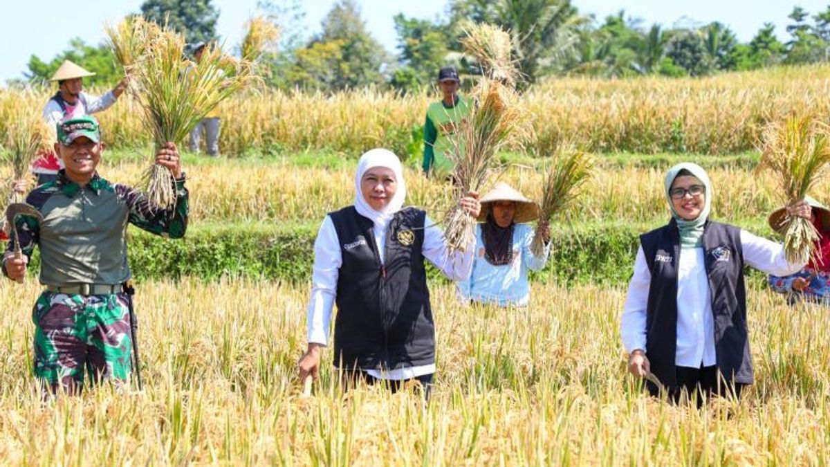 Farmer Innovation In Developing "Biosaka" Organic Liquid Receives Appreciation From The Governor Of East Java