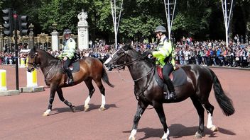 エリザベス女王2世の葬儀に出席、ロンドン警察:約200年で最大の保護活動