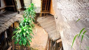 Tradisional Abis! Berikut Makanan Khas Suku Baduy yang Unik dan Wajib Dicicipi