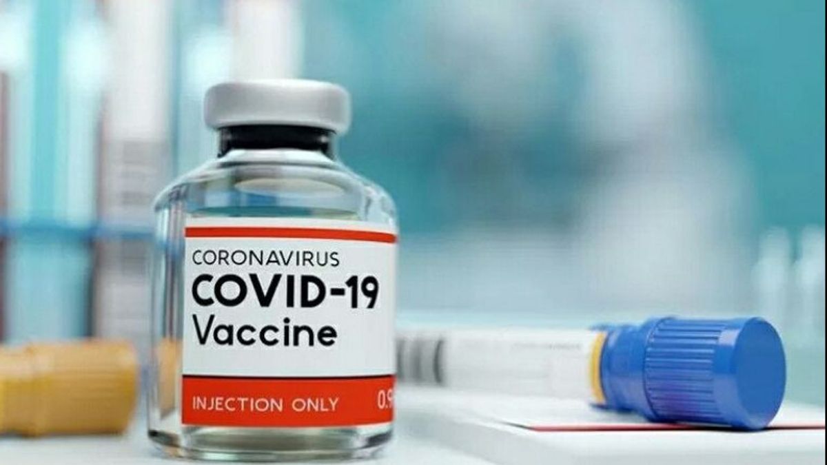 6 Jenis Vaksin Booster yang Dapat Menjadi Pilihan