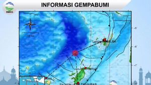 BMKG Laporkan Gempa Magnitudo 5 di Kepulauan Tanimbar, Guncangan Skala III terjadi di Maluku Tenggara Barat