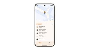 迷失的地毯?谷歌有解决方案!在新应用程序Find Hub上检查!